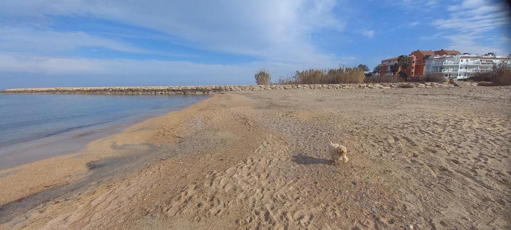 德尼亚Beach View - Primera Linea Lujo公寓 外观 照片